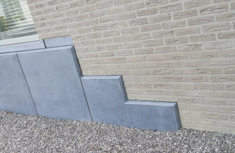 Dsc 3157 1